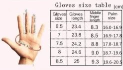 Handschuhe Drag Reptile -Modebekleidungs Geschäft gloves drag reptile the queen closet finger hand nail 104 700x 500x b964fbee c85b 42f8 9e5d 1870929bfcad