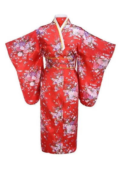 Geisha Kimono Hamamutsu 5 Geisha Kimono Hamamutsu – Bild 3